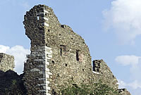Ruine Stein