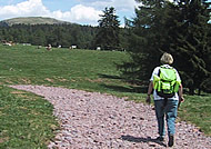 Wandern am Ritten